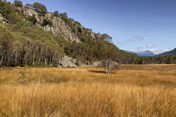 Roches moutonnées dans le sud du Tessin
