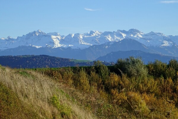 Zu den Schotterebenen im Luzerner Seeland