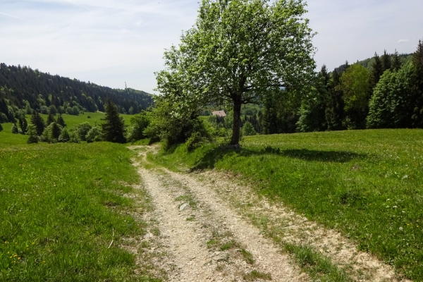 Entlang der Absinth-Strasse im Val de Travers