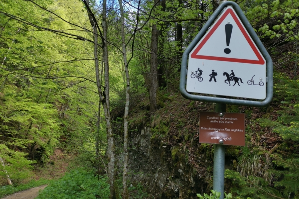 Gorge sauvage dans les Franches-Montagnes