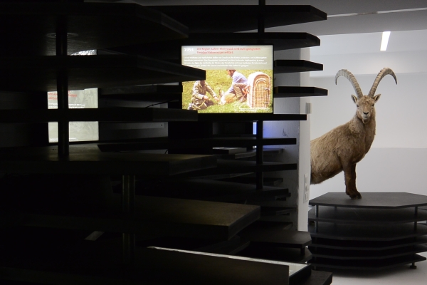 Capricorn – König der Alpen