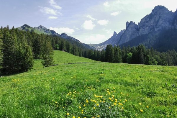 Einsame Wege über der Schwarzen Lütschine