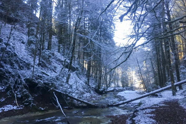 Dans les gorges de la Schwarzwasser