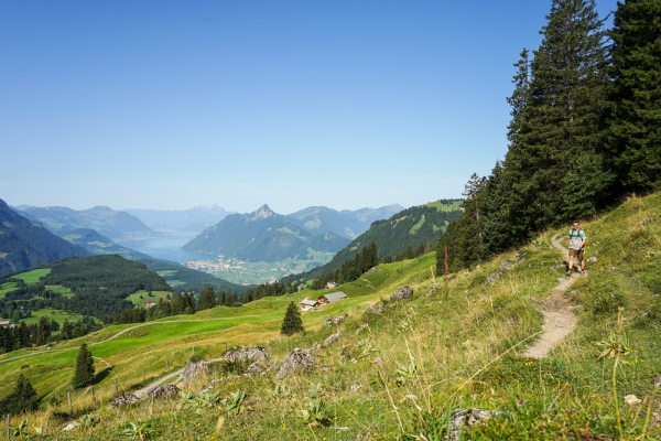 Zu den Schwyzer Klippen auf der Ibergeregg