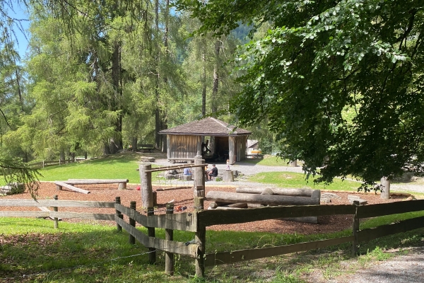 Randonnée apaisante dans la vallée du Rhin alpin