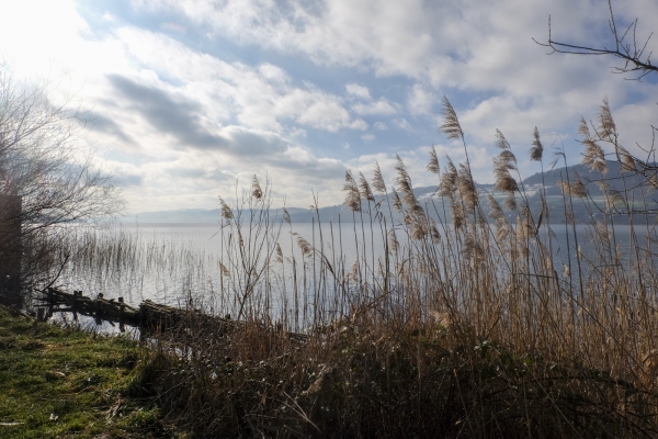 Winterruhe am Hallwilersee