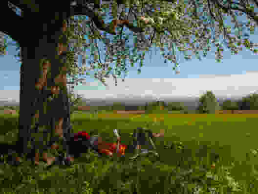Frühling auf dem Seerücken