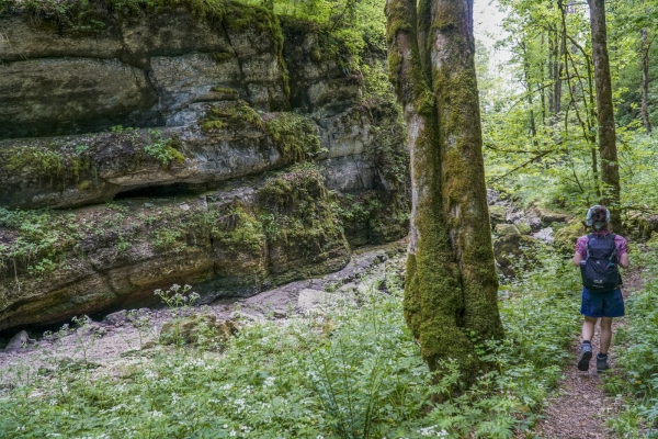 A la recherche de l’eau de Biaufond