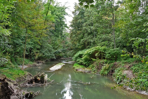 Canal navigable dans la forêt