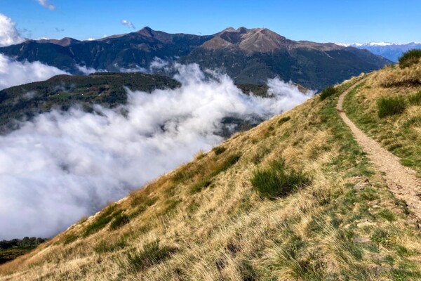 Rocce montonate nel Ticino meridionale