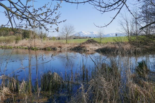 Du Wynental au lac de Sempach