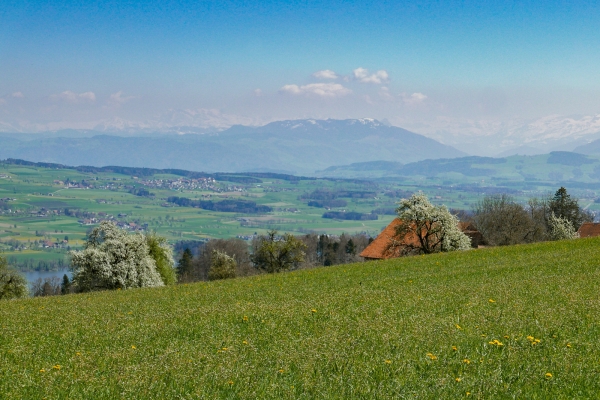 Du Wynental au lac de Sempach