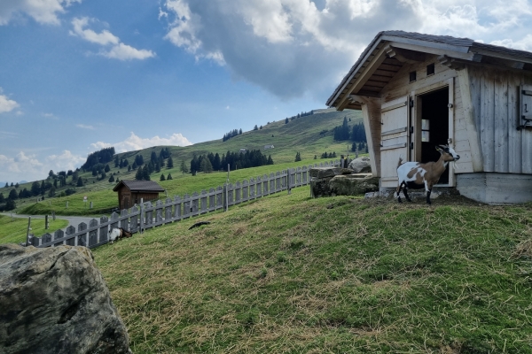 Au pied de l’Alpstein par des détours