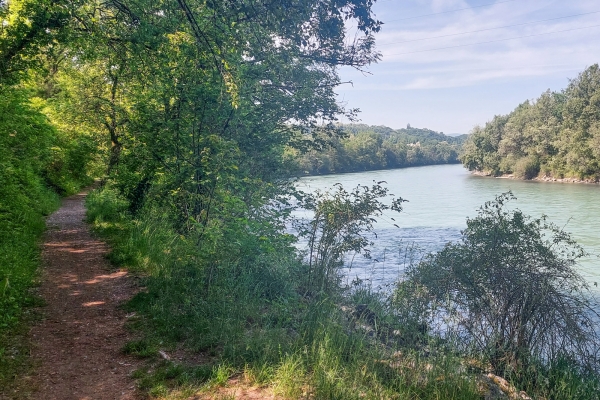 Wundervolle Flora und Fauna am Rhoneufer