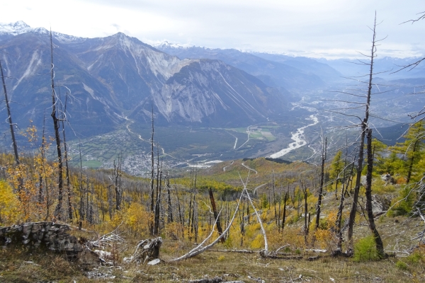 Zone d’incendie de forêt au-dessus de Loèche