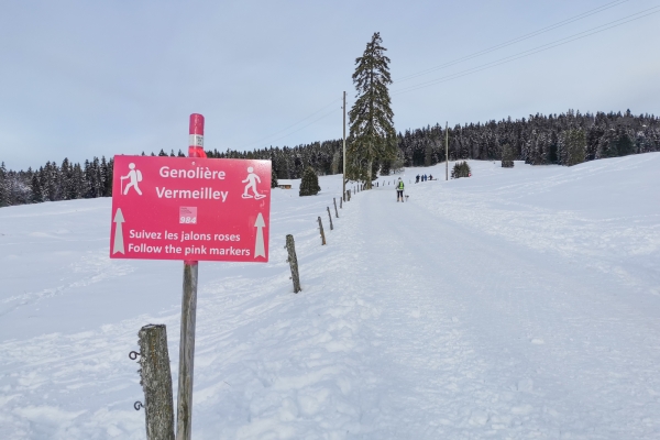 Blancs pâturages dans le Jura vaudois