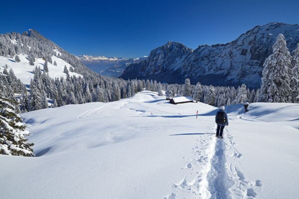 Glarner Gipfel zwischen Alpen und Voralpen