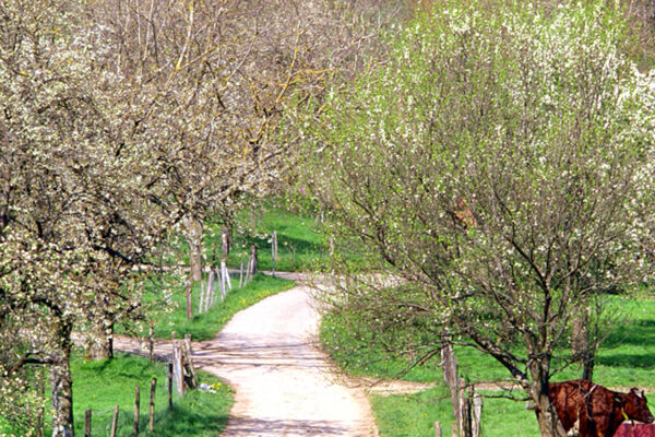 La petite Gilberte
