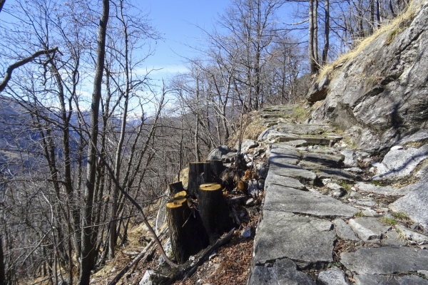 An sonnigen Hängen im Centovalli