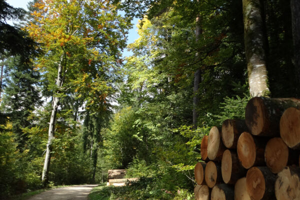 Fino al punto più alto di Delémont