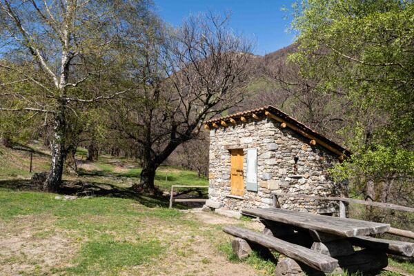 Attraverso i villaggi e i boschi di castagni del Ticino