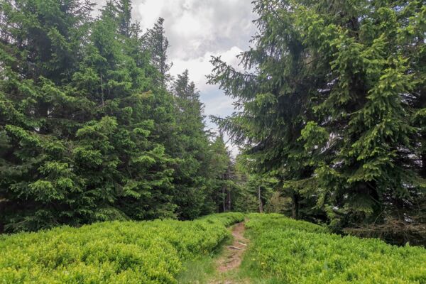 Picco d’entusiasmo nell’Entlebuch