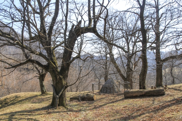 Dans les forêts de l’Alto Malcantone