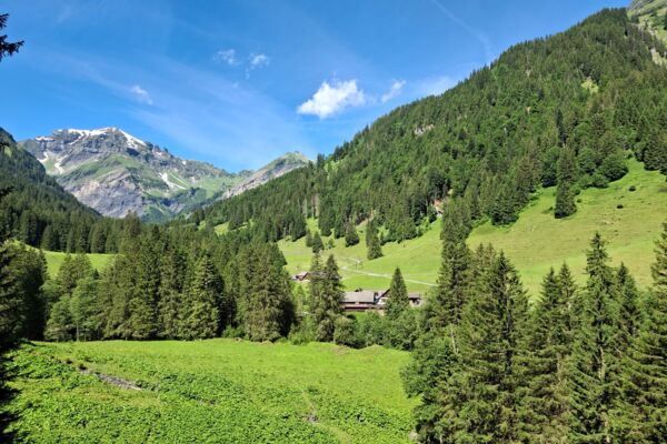Halbtageswanderung Weisstannen und Alpenweg