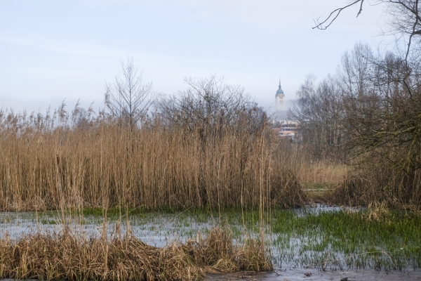 Quiétude hivernale près du lac de Hallwil