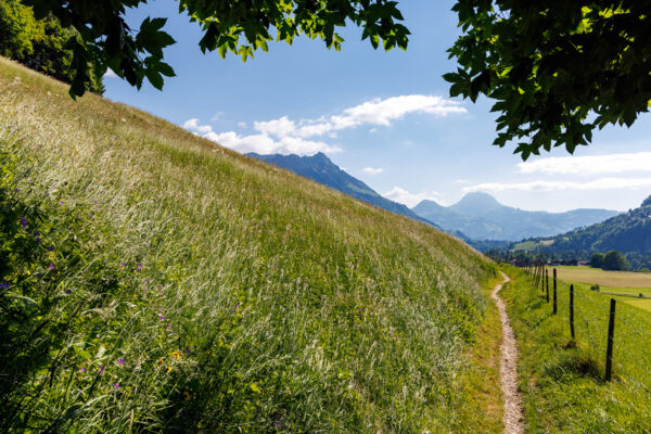 Un paysage typiquement gruérien