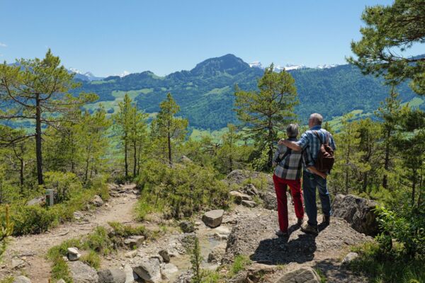 Des orchidées sur le chemin du Wildspitz