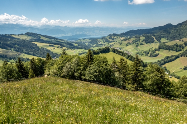 Par monts et vallées dans le Tössbergland 