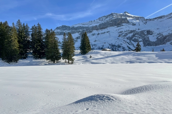 Le charme de l’hiver au col du Pillon