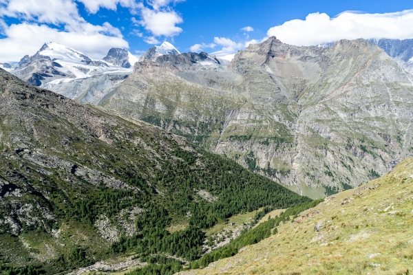 Urtümliche Natur südlich von Saas-Almagell