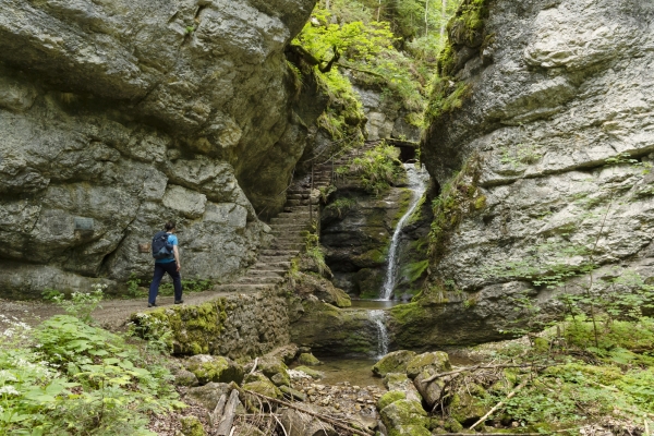 Les fées vertes du val de Travers