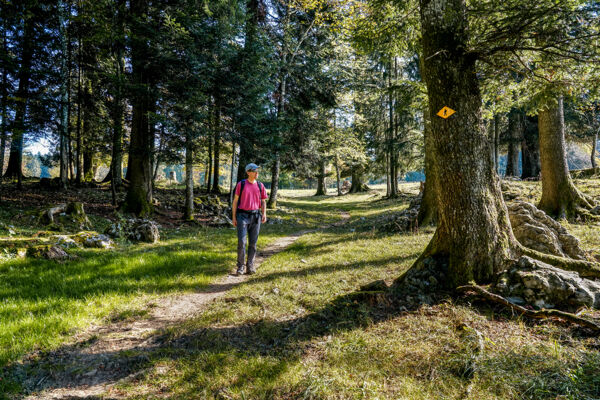 Le Jura entre Sonvilier et Le Noirmont