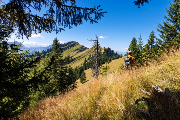 Gratwanderung auf die Beichle