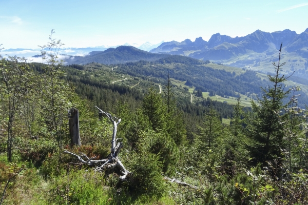Sentier d’altitude dans la région du Gantrisch
