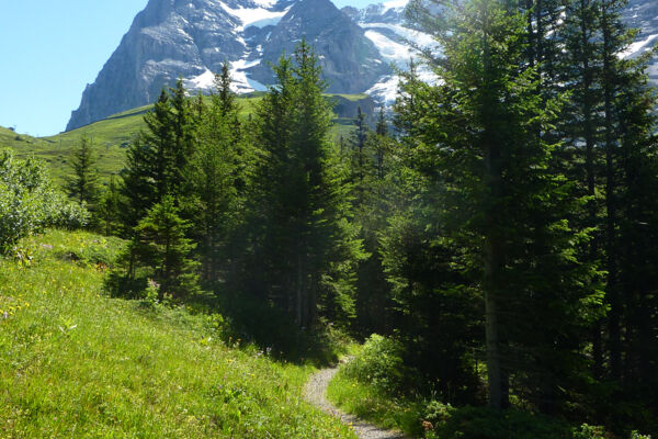 Tragedie e trionfi sull’Eiger