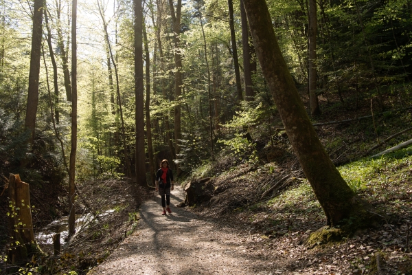 De Weinfelden à Frauenfeld
