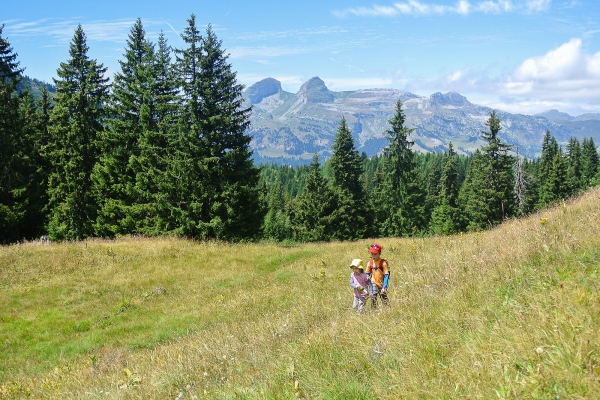 Dans les Alpes vaudoises