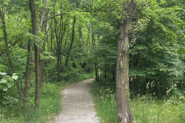 Naturerlebnis im Centovalli