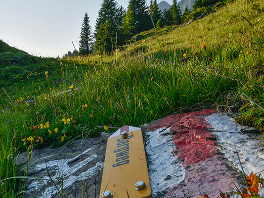 Bergfrühling am Alvier