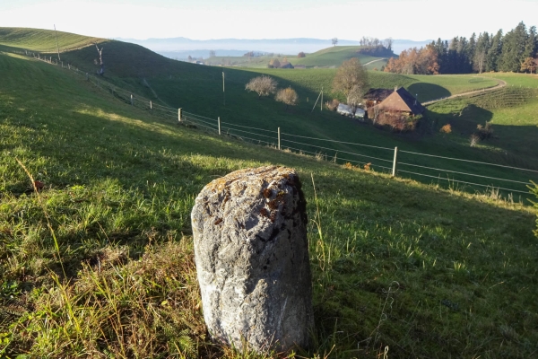 Autour de l’Hegewald