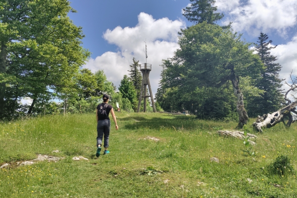 Una cima del Giura di rara bellezza