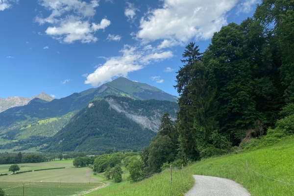 Randonnée apaisante dans la vallée du Rhin alpin