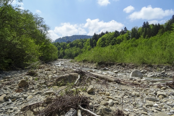 Aussichtsreiche Höhen in den Freiburger Voralpen