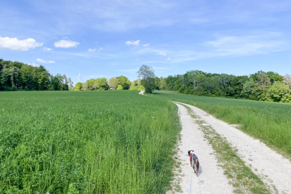 Idylle im hohen Norden 