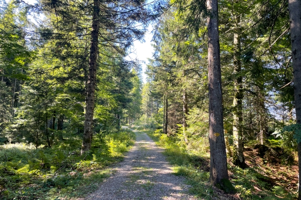 Durchs grüne Appenzellerland