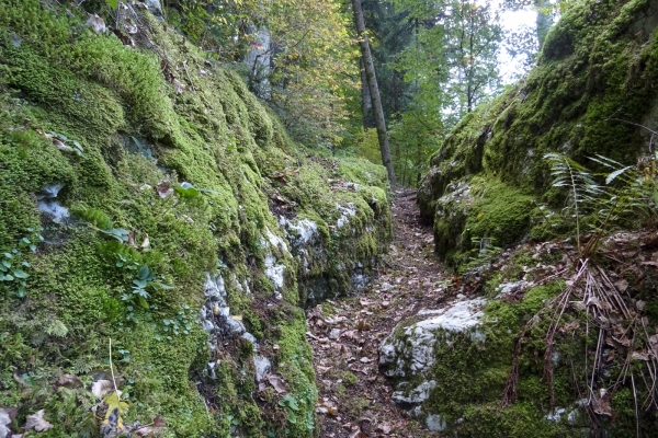 Auf den Spuren von «Lothar» im Val de Travers